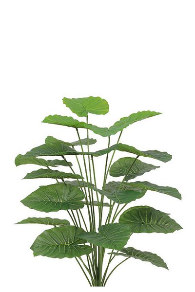 Generic Artificial Alocasia Heart Leaf Seedling in Round Plastic Pot
