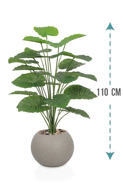 Generic Artificial Alocasia Heart Leaf Seedling in Round Plastic Pot
