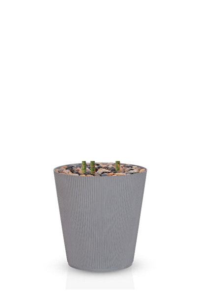 Generic Artificial Vius Umbellata Tree in a Plastic Cylinder Pot