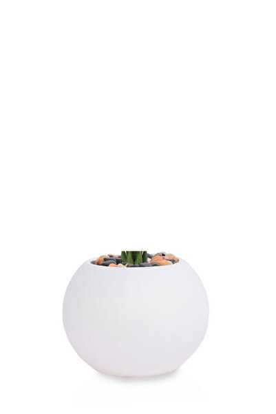 Generic Artificial Alocasia Heart Leaf Seedling in Round Plastic Pot