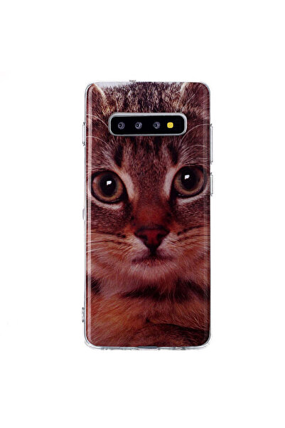 REDz Accessories Carcasă din silicon compatibilă cu Samsung S10 Plus, model S...