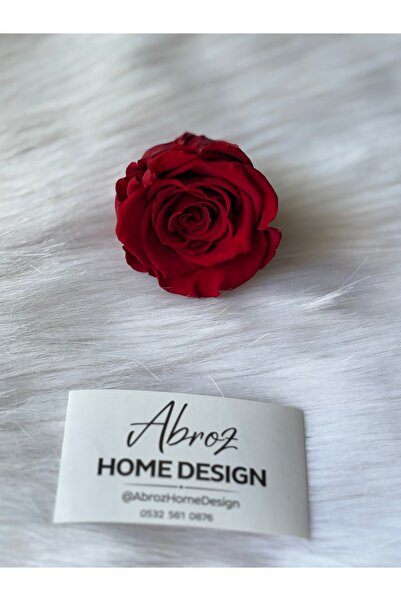 ABROZ HOME DESIGN وردة مذهولة غير باهتة / بورجوندي