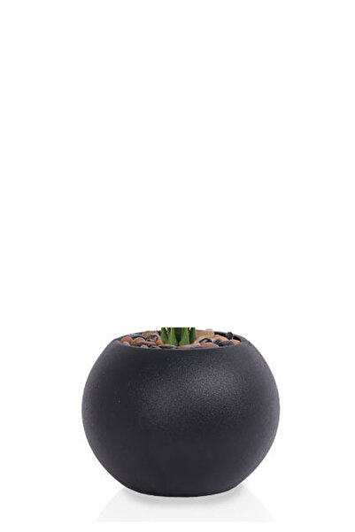 Generic Artificial Alocasia Heart Leaf Seedling in Round Plastic Pot