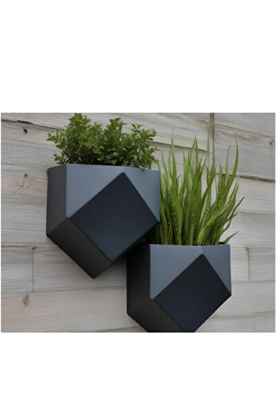 Genel Markalar Modern Duvara Asılı Düşük Poli Saksı 1 Adet