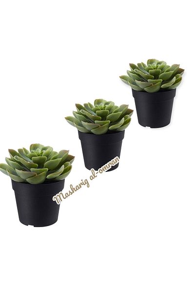 FEJKA Artificial Plant in Pot, Indoor/Outdoor Succulent Tree, 12cm x 9cm