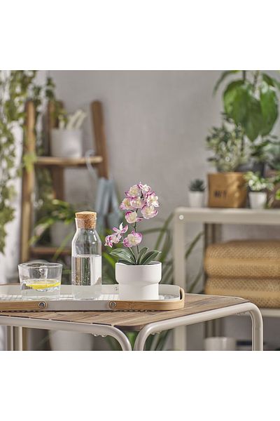 FEJKA Artificial Potted Plant, Indoor/Outdoor Orchid/Light Purple, 24cm x 9cm