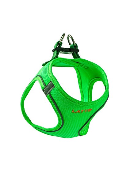 Lusi Doog İsimli Airmesh 4'lü Tasma Seti Köpek Göğüs Tasması + Boyun Tasması + Gezdirme Kayışı + Çanta