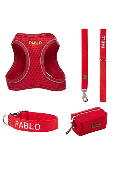 Lusi Doog İsimli Airmesh 4'lü Tasma Seti Köpek Göğüs Tasması + Boyun Tasması + Gezdirme Kayışı + Çanta