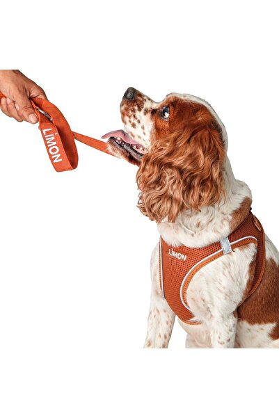 Lusi Doog Kişiye Özel Airmesh Göğüs Tasması Isimli Göğüs Tasması (KAHVERENGİ)