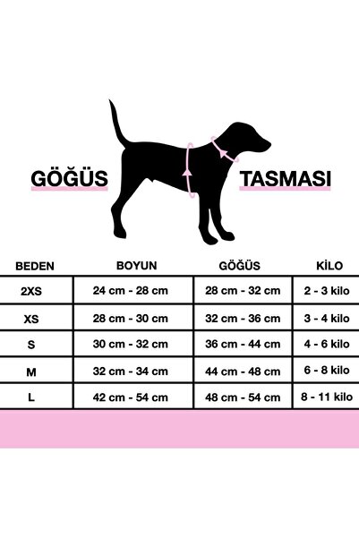 Lusi Doog İsimli Airmesh 4'lü Tasma Seti Köpek Göğüs Tasması + Boyun Tasması + Gezdirme Kayışı + Çanta