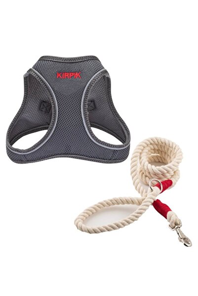 Lusi Doog Köpek Tasma Seti Kişiye Özel Airmesh Göğüs Tasması İsimli Göğüs Tasması ve Köpek Gezdirme Halatı