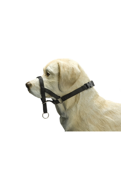 Beeztees Köpek Eğitim Tasması, Baş Kontrollu, Siyah, XL