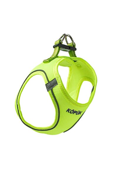 Lusi Doog Köpek Tasma Seti Kişiye Özel Airmesh Göğüs Tasması İsimli Göğüs Tasması ve Köpek Gezdirme Halatı