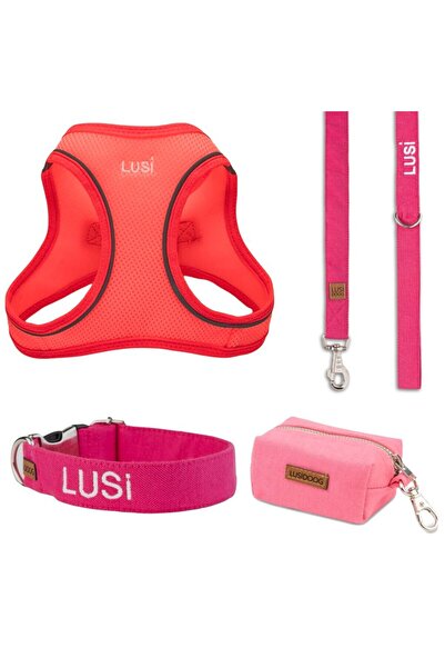 Lusi Doog İsimli Airmesh 4'lü Tasma Seti Köpek Göğüs Tasması + Boyun Tasması + Gezdirme Kayışı + Çanta