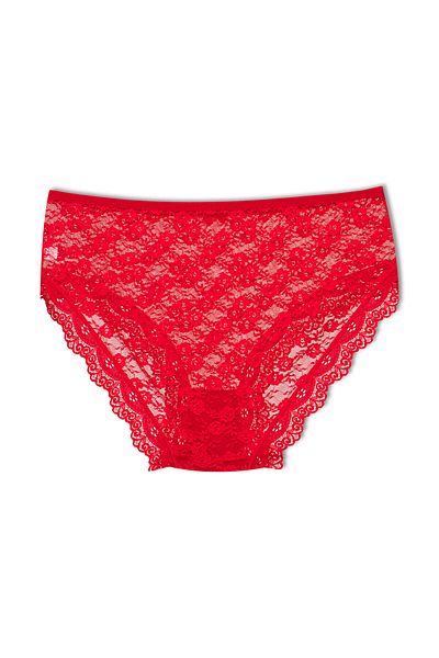 HNX Lace High Waisted Panty