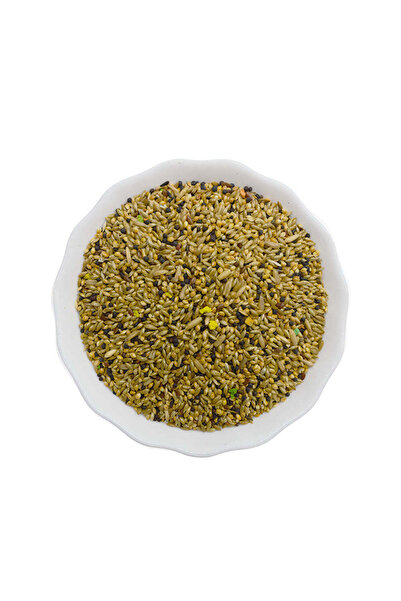 TAIYO Complete and Balanced Food for Canaries 400g