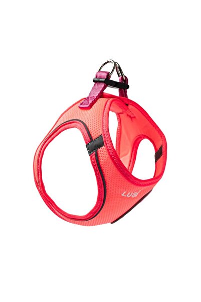 Lusi Doog İsimli Airmesh 4'lü Tasma Seti Köpek Göğüs Tasması + Boyun Tasması + Gezdirme Kayışı + Çanta