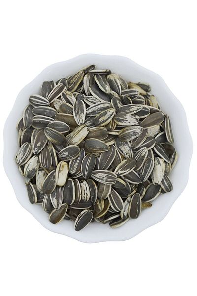 Birdwe طعام طيور الببغاء (بذور عباد الشمس الأرجنتينية) 1 كجم
