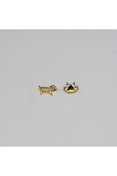 Piercing by Sever Kombin Köpek & Pati Çelik Piercing… Altın/Gold Renkli ve Şeffaf Taşlı (TRAGUS HELIX CONCH FLAT)