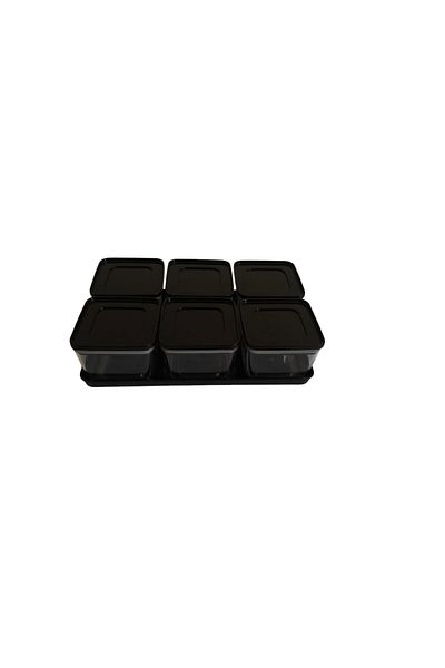 Leony 6 Compartment 13 Piece Breakfast Set / Storage Container Set with Tray and Vacuum Lid