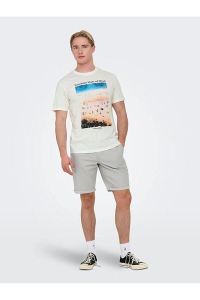 Only & Sons Short Tikteki Male Woven Shorts