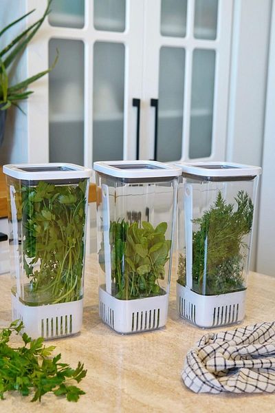 STOREMAX Bystoreby Ahmet Greenery Storage Container 3-Piece Eco Set 1.7 Liter Newdesing 646268
