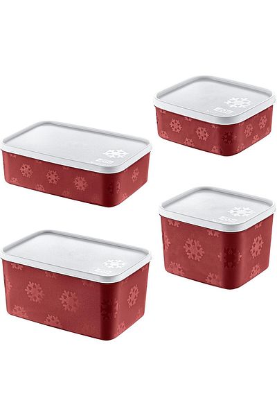 STOREMAX Buystoremx Set of 4 No Frost Storage Container Carmen (All Sizes) Newstar 1051066