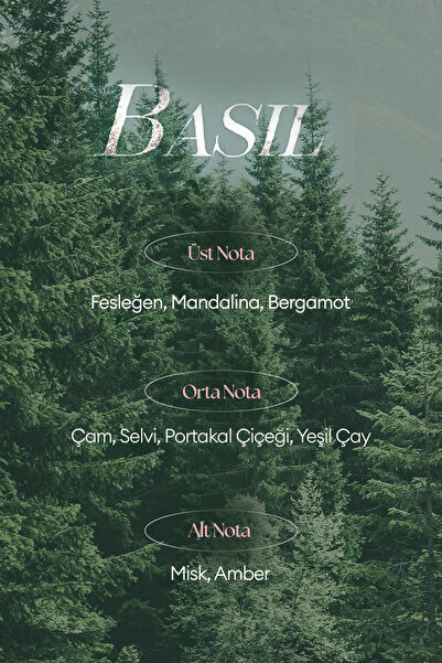 Missha Shea Yağı İçeren Nemlendirici El Kremi A'PIEU Juicy Pang Perfume Hand Cream (Basil)