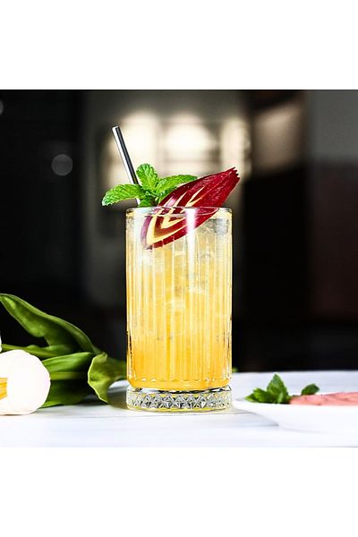 OEM Pahar de sticla, Long Drinks, 460 ml, transparent, 14,5 cm h, 7,5 cm diametru