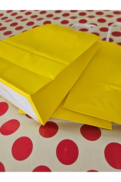 Nedi Büküm Saplı Karton Hediye Çantası 16x22x8cm (25adet)