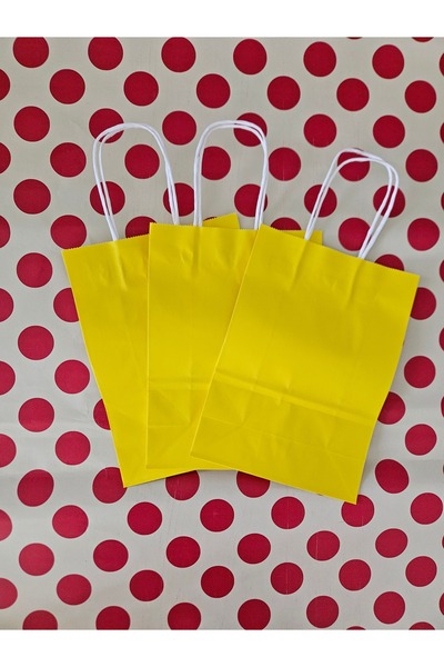 Nedi Büküm Saplı Karton Hediye Çantası 16x22x8cm (25adet)