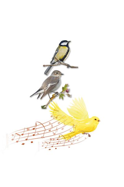 Mediashop Ceas de perete Starlyf Birdsong Clock 12 cantece diferite de pasari Verde