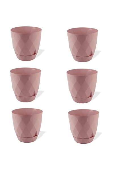 Asil Konsept 6 Adet 0,65 lt Küçük Boy Baklava Desenli Sert Plastik Sabit Taba...