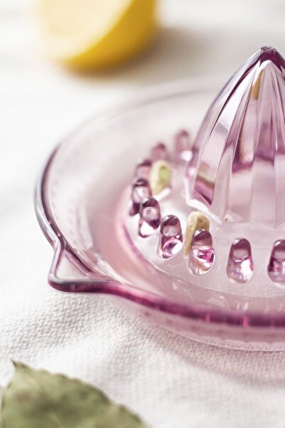 EWs Acrylic Plum Lemon Squeezer Practical Lemon Squeezer