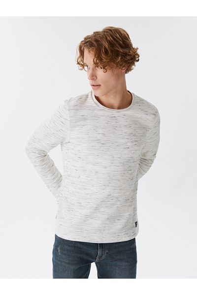 Loft Regular Fit Men's Tshirt U.sleeve