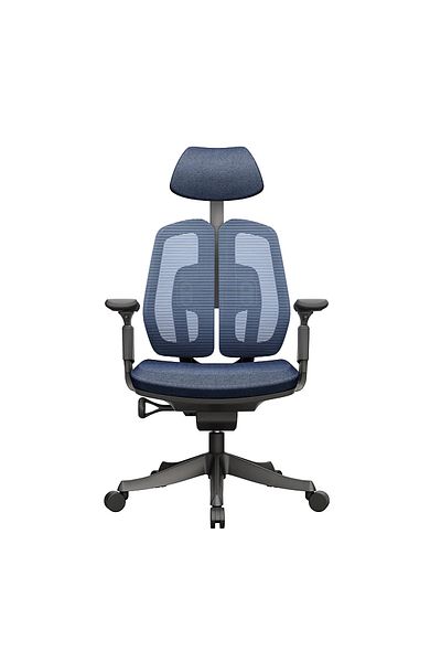 BACK COMFORT Dole Ergonomic Office Chair with Adjustable Headrest and 3D Armrests