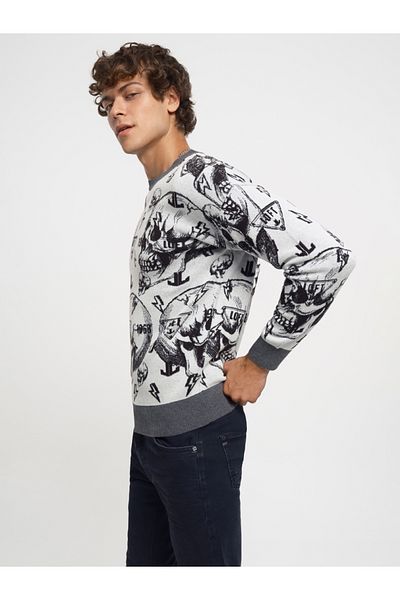 Loft Regular Fit Men's Sweater