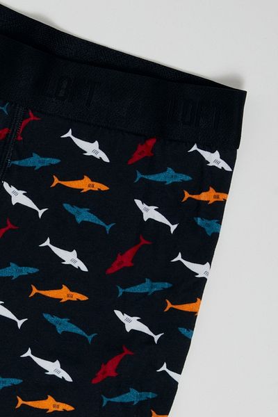 Loft Men's Underwear