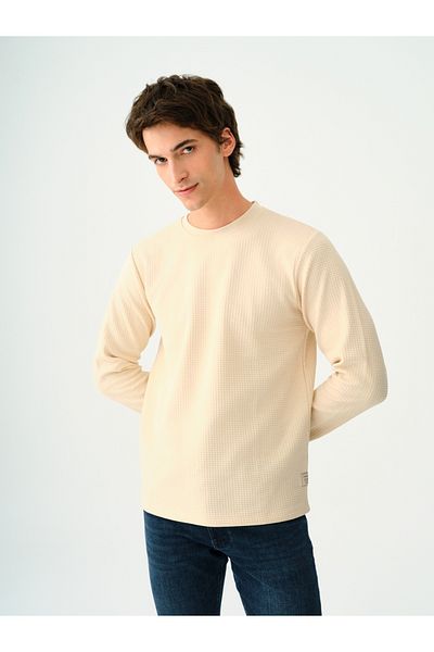 Loft Regular Fit Men's Tshirt U.sleeve