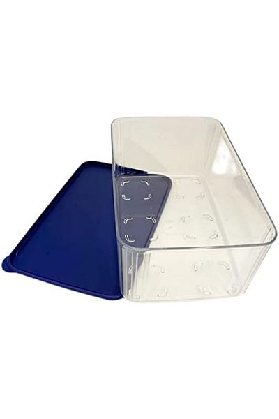 STOREMAX Bystoreby Clear and Fresh 2.5 L Clear Blue Dark Blue Refrigerator System Fresh System Container Kapa