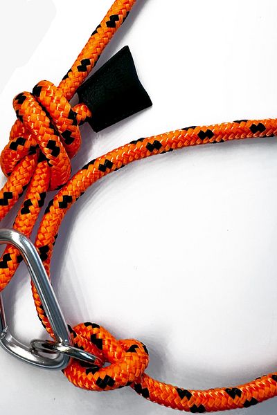 PETSWUU Neon Orange Dog Hands Free Running and Walking Walking Strap Leash