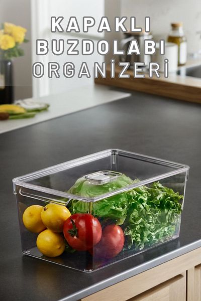 Espas Home Refrigerator Cabinet Organizer Organizer Single with Cover (Maxi)