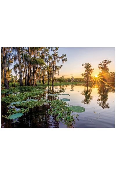 Anatolian Puzzle 3000 Piece Jigsaw Puzzle - Duck Lake Sunset 4925