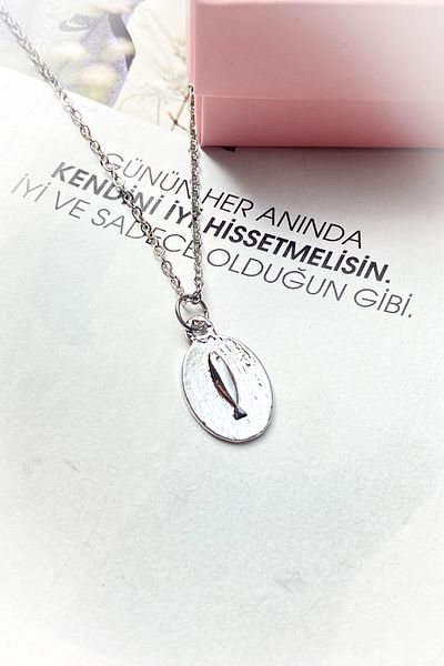 roshel Steel Silver Color Thin Chain Steel Necklace
