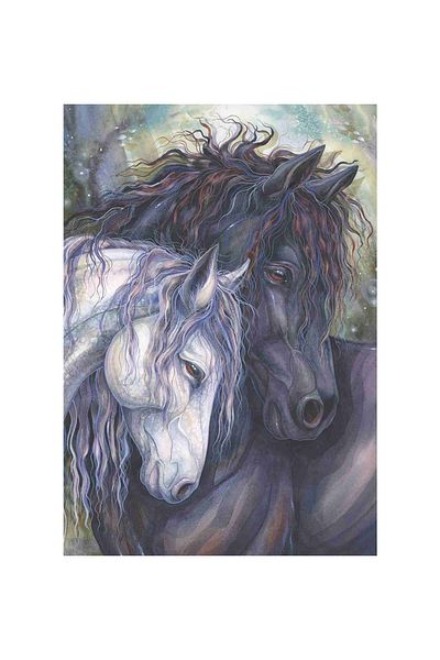 Anatolian Puzzle 500 Piece Jigsaw Puzzle - Soul Twin 3587
