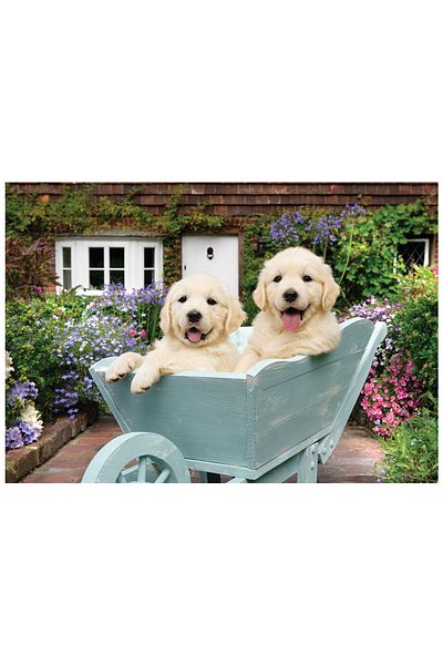 Anatolian Puzzle 260 Piece XL Jigsaw Puzzle - Gardener Dogs 3310