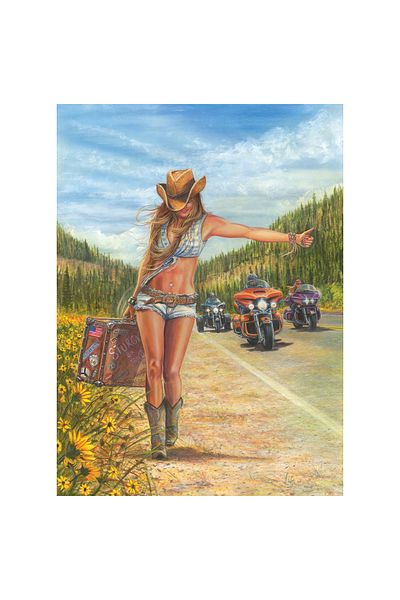 Anatolian Puzzle 1000 Piece Jigsaw Puzzle - Hitchhiker 1124