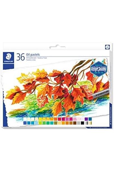 STOREMAX Ntwork 2420C36 Carat Oil Pastel Paint 36Pcs Art 1087243