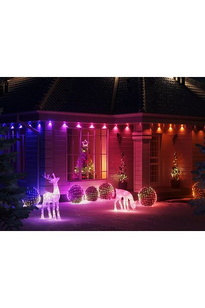 Twinkly Twinkly Net installation, 240 RGB LEDs, 1.45x 2.4 m, transparent cable, IP44