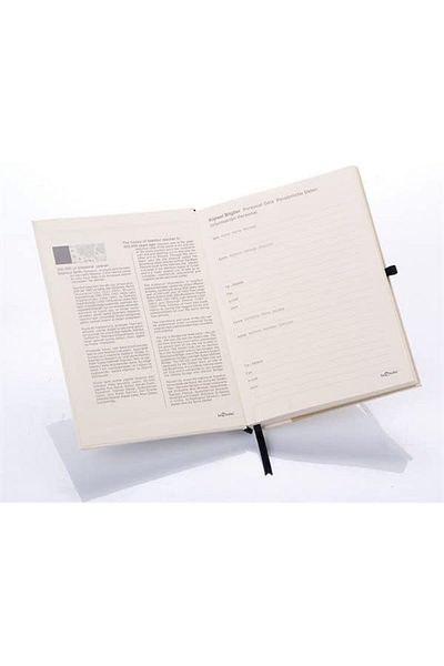 STOREMAX Jvnnastore Color Old Istanbul Journal Striped Elastic Şark Coffee Trendyfr 646268